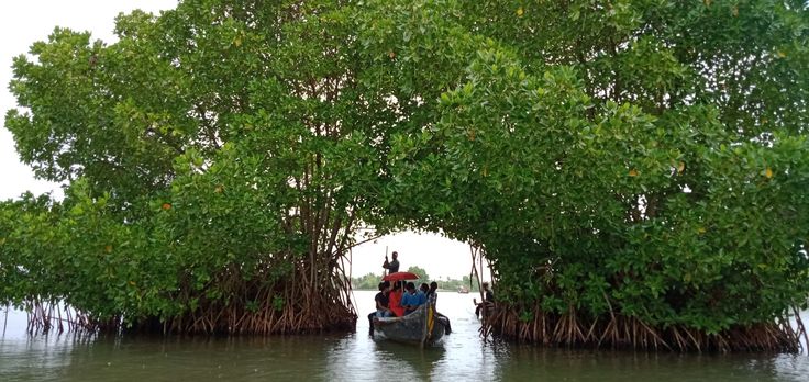 Alleppey Backwater